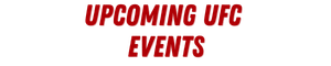 Upcoming UFC Events Favicon